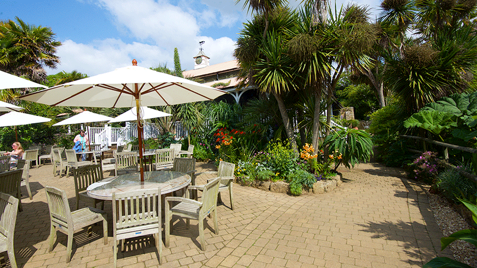 Family days out near Weymouth - Abbotsbury Subtropical Gardens Tea Room